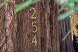 254 Teilh Dr - Photo 62