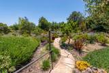 165 Golden Oak Dr - Photo 39