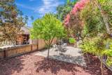 545 Dana St - Photo 24