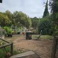 19963 Pesante Rd - Photo 2