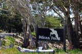 66 Pelican Pt - Photo 3