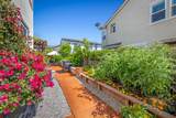 250 Calle Del Rey - Photo 31