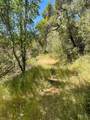 0 Crystal Springs Rd - Photo 1