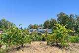 335 Wild Iris Ln - Photo 47
