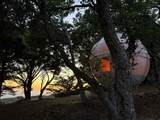 46480 Clear Ridge Rd - Photo 16