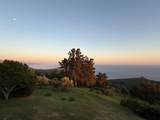 46480 Clear Ridge Rd - Photo 18