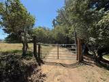 46480 Clear Ridge Rd - Photo 41