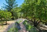 3773 Paul Sweet Rd - Photo 33