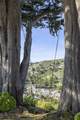1215 Lerida Way - Photo 76