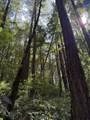 00 Slate Creek Rd. - Photo 12