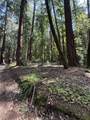 00 Slate Creek Rd. - Photo 19