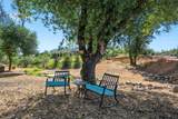 15907 Cindee Ln - Photo 58