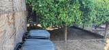 2084 King Rd - Photo 10