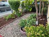 920 Masson Ave - Photo 6