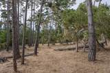 1070 Spyglass Woods Dr - Photo 6