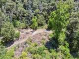 0 Deer Creek (Lot 21) - Photo 1