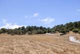 24545 Via Malpaso (Lot 94) - Photo 6