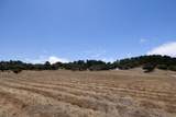 24545 Via Malpaso (Lot 94) - Photo 8