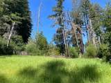 500 Wildberry Dr - Photo 32