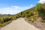35005 Loma Chiquita Rd - Photo 21