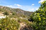 35005 Loma Chiquita Rd - Photo 43