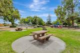 6225 Barb Werner Ln - Photo 30
