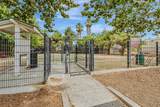 6225 Barb Werner Ln - Photo 34