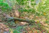 7185 Redwood Retreat Rd - Photo 55