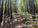 7175 Redwood Retreat Rd - Photo 20