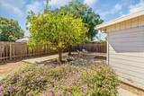 3220 Williams Rd - Photo 32