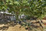 5817 Spring Flower Dr - Photo 53