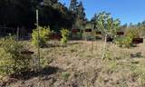 687 Calabasas Rd - Photo 47