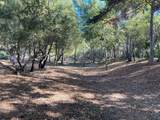 Adamo Ranch, Carmel Valley Rd - Photo 98