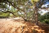 18221 Berta Canyon Rd - Photo 11