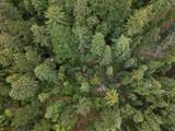 02 Bear Creek - Photo 35