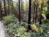 449 Band Rd - Photo 2
