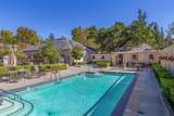 443 Alberto Way B115 - Photo 34