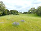 29 Arroyo Sequoia - Photo 13