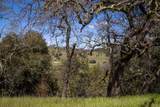 29 Arroyo Sequoia - Photo 14
