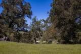 29 Arroyo Sequoia - Photo 6