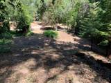20406 Harvey Way - Photo 5