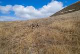 367 San Benancio - Photo 19