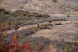 367 San Benancio - Photo 22