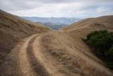 367 San Benancio - Photo 25