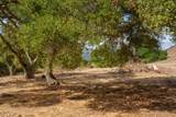 367 San Benancio - Photo 6