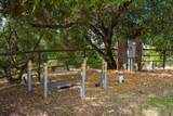 367 San Benancio - Photo 8