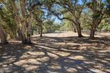 56 Marguerite (Lot 44) - Photo 11
