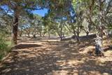 56 Marguerite (Lot 44) - Photo 12