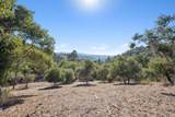 56 Marguerite (Lot 44) - Photo 5