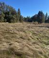 2795 State Highway 49 - Photo 15